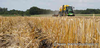 Kale graanakkers trekken mestmarkt nog niet vlot