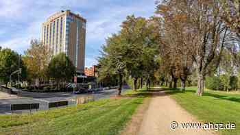 Strategie: Niederländer investieren in Düsseldorf