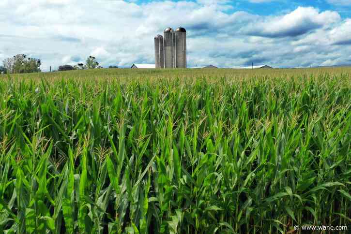 Indiana rain brings challenges to farmers