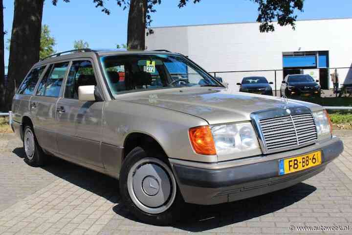 Deze Mercedes-Benz 230 TE heeft nog veel te bieden - Liefhebber Gezocht
