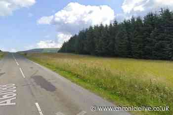 Dire Straits tribute frontman from Newcastle one of three bikers killed in horror crash