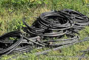 Twee koperdieven (19 en 22) die in Tongeren betrapt werden, zijn aangehouden