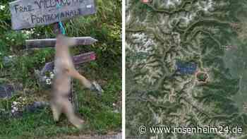 Horror-Fund in Italien – Toter Wolf an Straßenschild aufgeknüpft