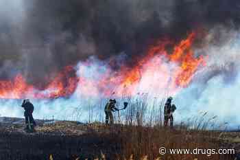 Wildfire Smoke Exposure Linked With Higher Dementia Risk