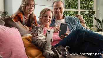 Neuer tierischer Werbestar: Kater Peter wird für die Deutsche Telekom zum Digital Native