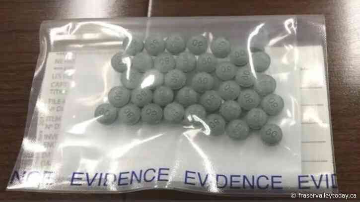 Abbotsford easily surpasses Chilliwack in toxic drug deaths thus far in 2024