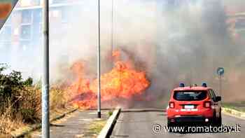 Incendio a Roma nord est, brucia l'area di Settecamini: fiamme e fumo nero vicino alle case