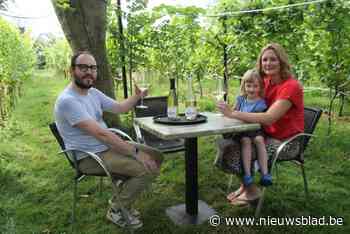 Wijnen proeven op domein van Alexander (37) en Lien (30) kan nu ook in zomerbar: “Zelfs wij moeten soms wennen aan de rust hier”