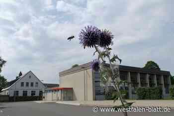 Vom Bauhof bis zur Turnhalle: Stadt Werther will ihre Heizkosten senken