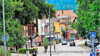 Weniger Licht in Bad Herrenalb: Von wegen defekte Straßenlaternen