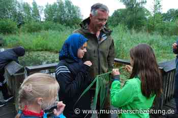 Rock-Band, Rapunzel, Rieselfelder