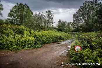 Geen vergunning voor 8.000 zonnepanelen langs Albertkanaal in Beringen