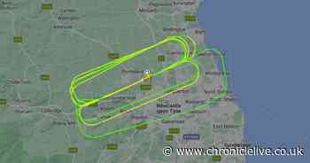 More than 1,300 people track 'low-flying' plane doing loops around Newcastle Airport