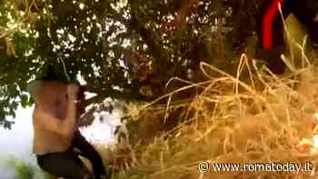 Trastevere, senza dimora dà in escandescenze e si butta nel fiume. I carabinieri lo recuperano con una corda