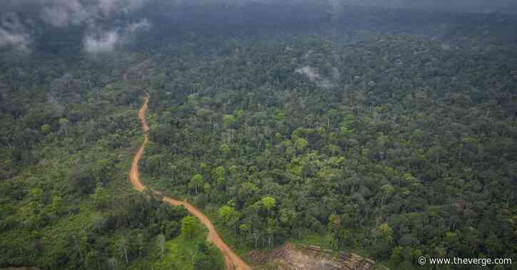 A watchdog for corporate climate commitments is cracking down on carbon credits