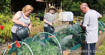 Newcastle Foodbank celebrates after winning 2024 Community Garden of the Year Award