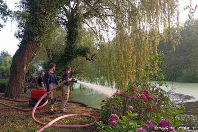 Vissen sterven door zuurstoftekort in oude Scheldearm