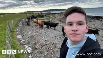 Refugee wins bursary to help chase vet dream