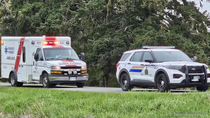 Assault in downtown Chilliwack sends one to hospital: RCMP