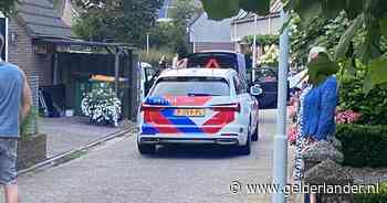 Auto klemgereden na achtervolging, verdachten vluchten woonwijk in