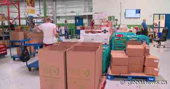 Edmonton’s Food Bank to collect donations at Heritage Festival