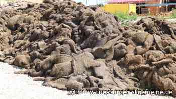 Mehrfach Müll illegal in Neubaugebiet in Jungingen entsorgt