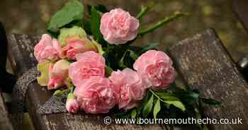 Woman found dead by friend in Poole