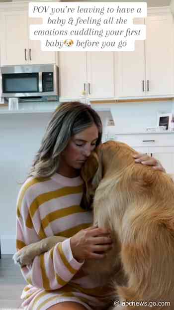 WATCH:  Woman and her golden retriever share sweet embrace at home before her son is born