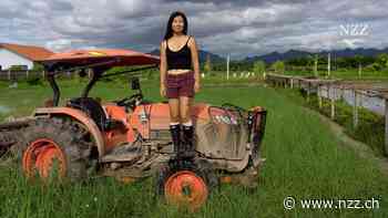 «Wir bereuen nur, dass wir nicht früher gekommen sind»: Immer mehr Chinesen folgen dem Ruf der Freiheit nach Thailand