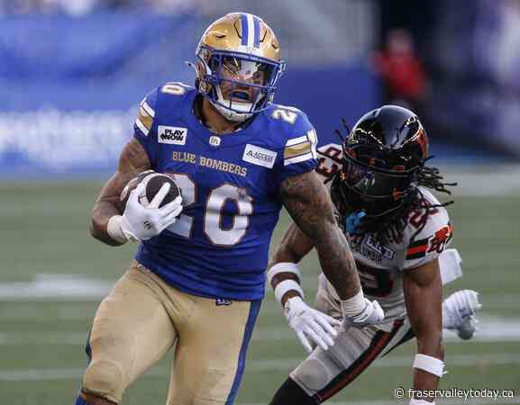 Blue Bombers upset Lions 25-0 in Winnipeg on six field goals by Castillo