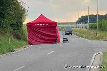 Bromfietser (16) sterft na aanrijding met bestelwagen