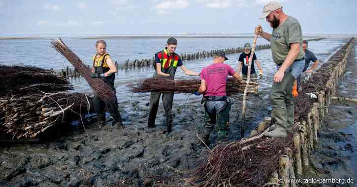 Wasserbau-Azubis lernen Küstenschutz in Ostfriesland