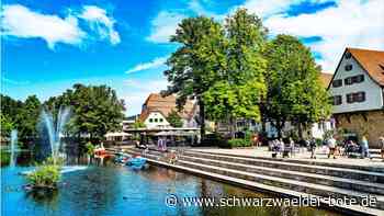 Zehn Attraktionen: Das alles hat Nagold nur der Landesgartenschau zu verdanken