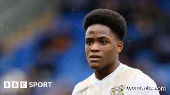 Carlisle sign Cherries forward Adu-Adjei on loan