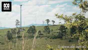 Senate committee recommends delay to 3G shutdown as mobile users fear loss of coverage