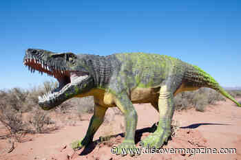 What We Know of the Prehistoric Fasolasuchus and It's Unique Traits