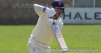 Dorset CCC coach praises young side after NCCA Wales defeat