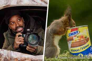 Tot acht uur voor één foto en inspiratie bij Barbie: Niki (38) maakt ludieke beelden van eekhoorns