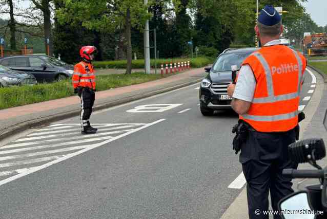 Drugshond vindt drugs tussen struiken bij controle van jongeren in Koersel