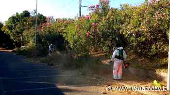 Roma Nord, interventi su tutto il territorio per il diserbo delle strade