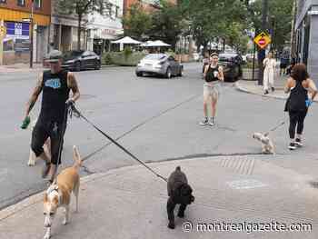 Montreal weather: The heat wave is not doing summer Fridays