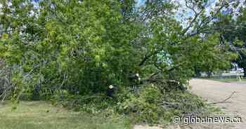 Redwater cleans up after heavy rain, wind tears through Alberta community