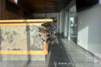 Wer schießt in Lübbecke auf Fensterscheiben?