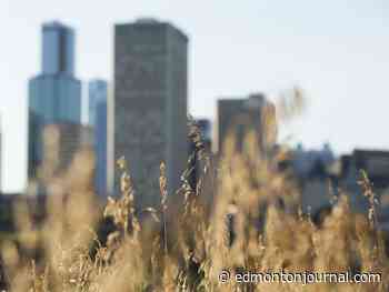 Edmonton weather: A bright sunshiny Friday, but a very wet long weekend