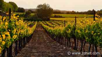 AI can help businesses design for positive externalities