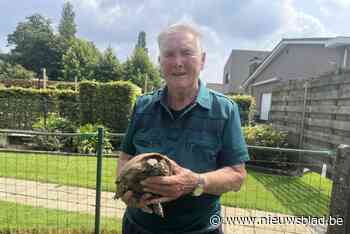 Yvonne Reynders won 65 jaar geleden haar eerste regenboogtrui en hoopt als verjaardagscadeau op gouden plak voor Kopecky