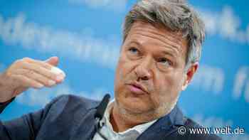 Habeck legt Vorschläge für künftige Stromversorgung vor