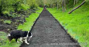 Section of former Northumberland railway line tipped to re-open as greenway