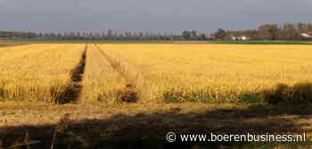Stikstofpiek misschien voorbij, boer blijft in vizier