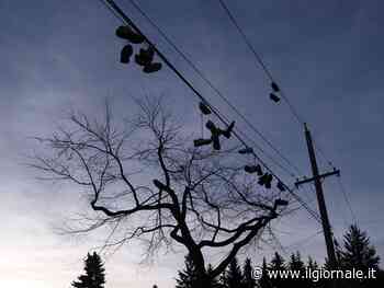 Perché ci sono scarpe appese ai fili elettrici in città. Cos'è e cosa significa lo "shoetifi"